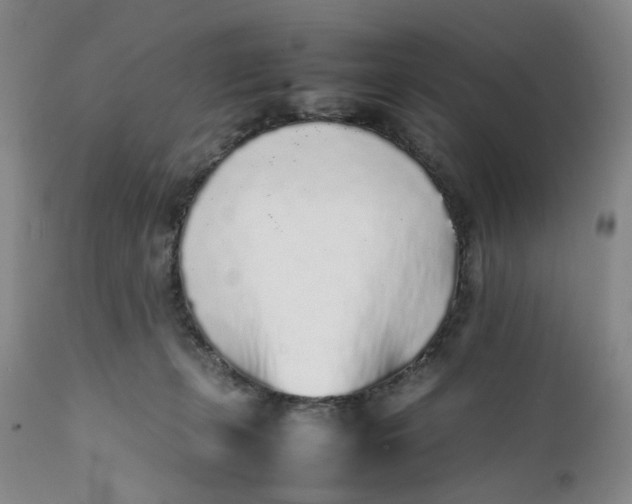 X0000112040271200908241610
