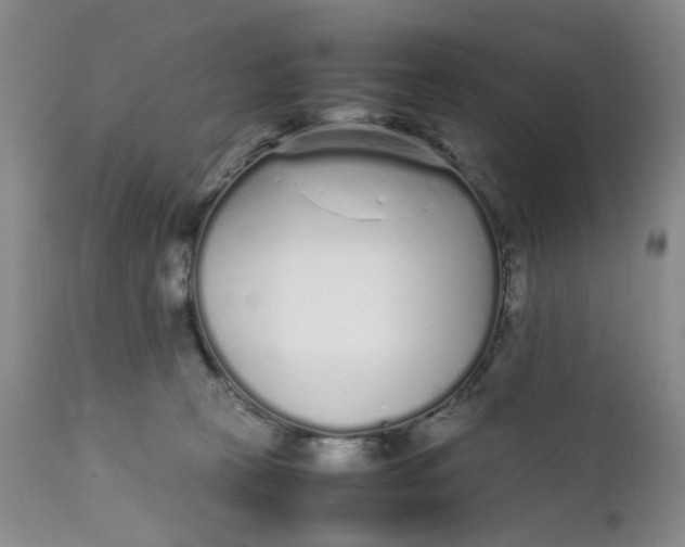 X0000112040273200908241610