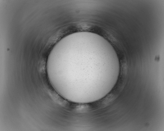 X0000112040274200908241610