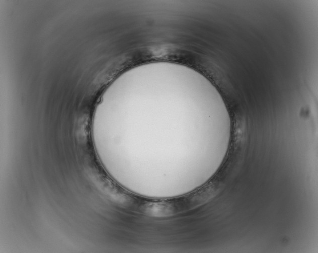 X0000112040275200908241610