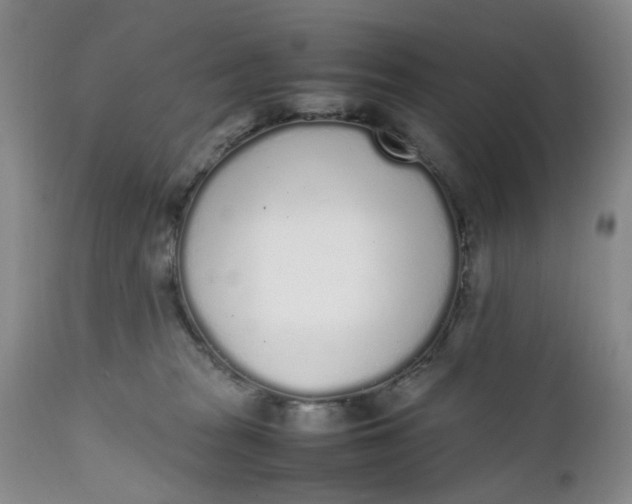 X0000112040277200908241610
