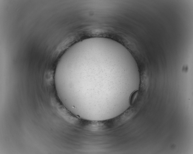 X0000112040278200908241610
