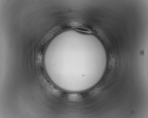 X0000112040281200908241610