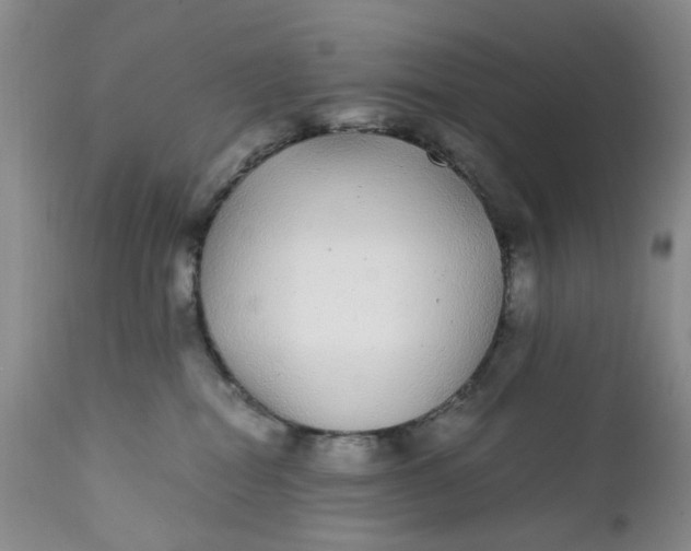 X0000112040282200908241610
