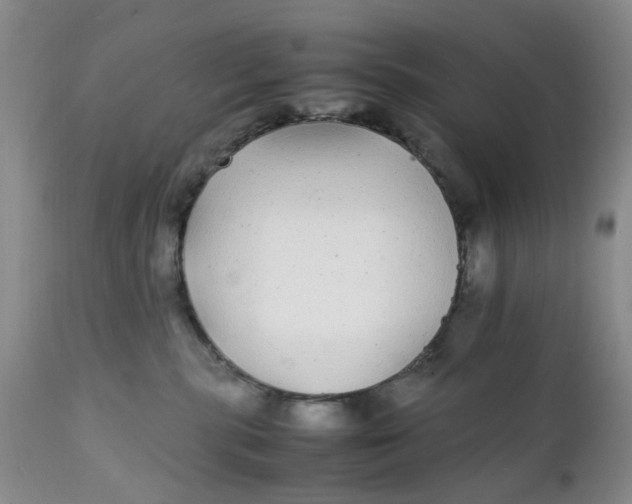 X0000112040283200908241610