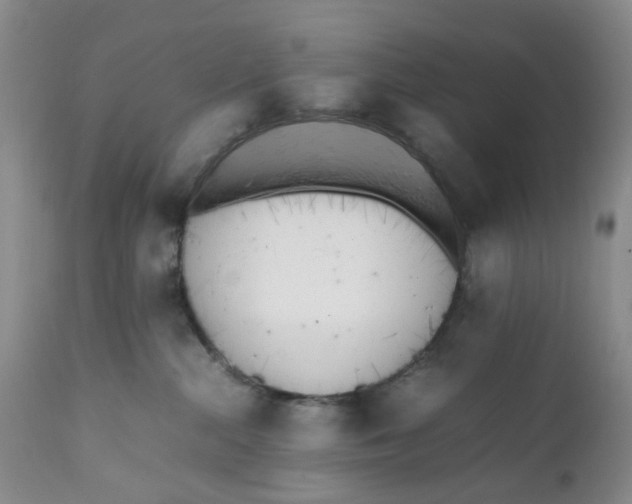 X0000112040284200908241610