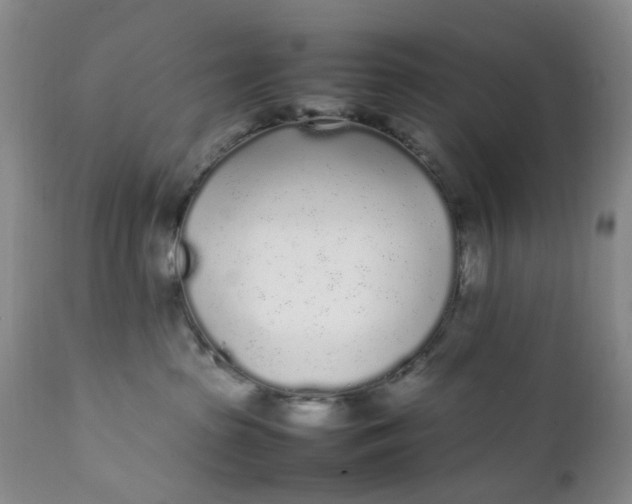 X0000112040285200908241610