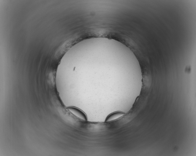 X0000112040286200908241610