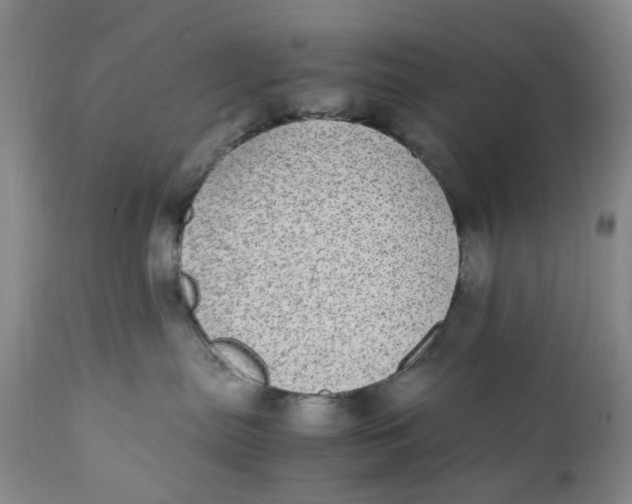 X0000112040287200908241610