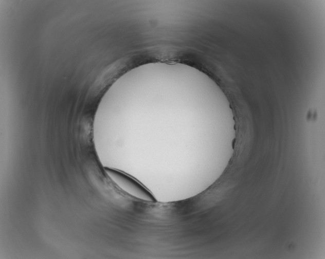 X0000112040288200908241610