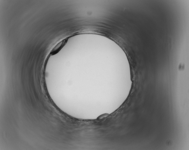 X0000112040289200908241609