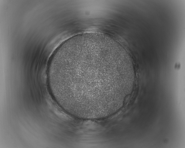 X0000112040290200908241609