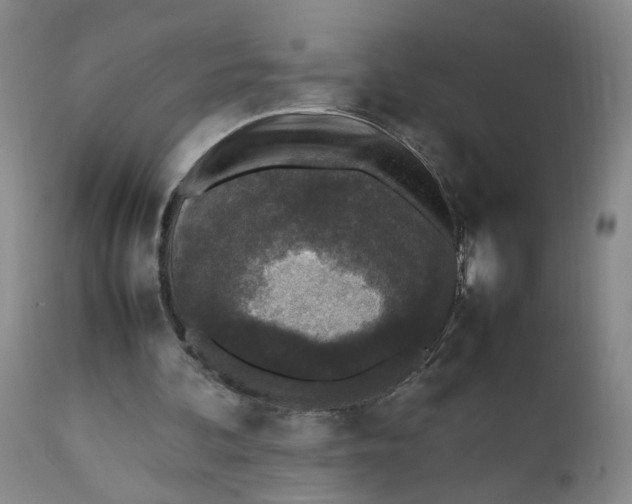 X0000112040292200908241609