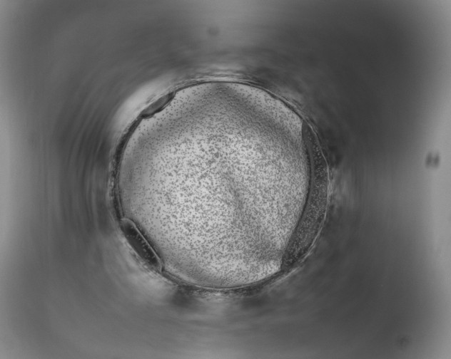 X0000112040293200908241609
