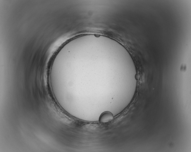X0000112040294200908241609
