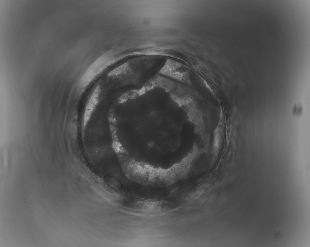 X0000112040295200908241609