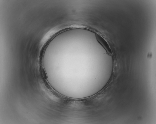 X0000112040296200908241609