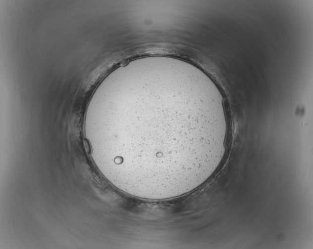 X0000112040297200908241609