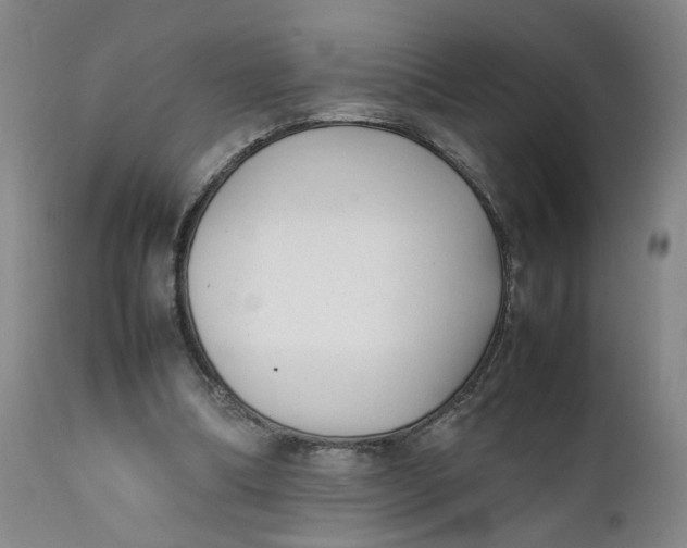 X0000112040298200908241609