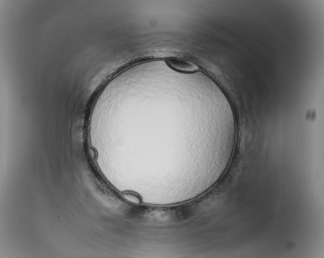 X0000112040299200908241609