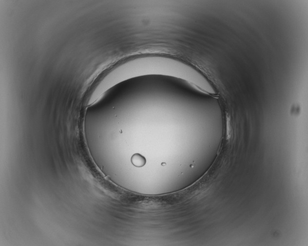 X0000112040300200908241609