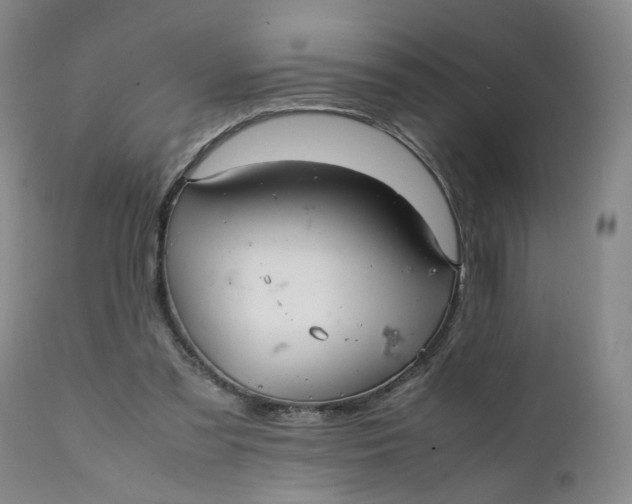 X0000112040301200908241609