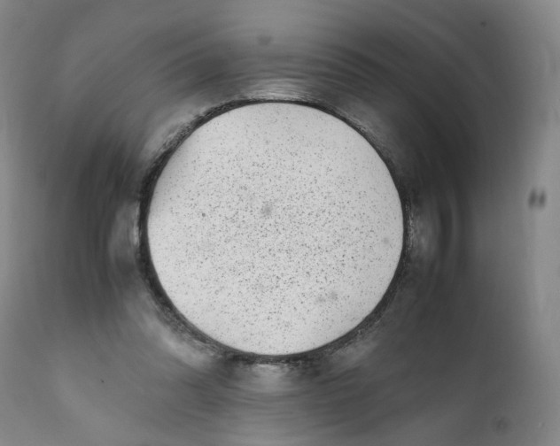 X0000112040302200908241609