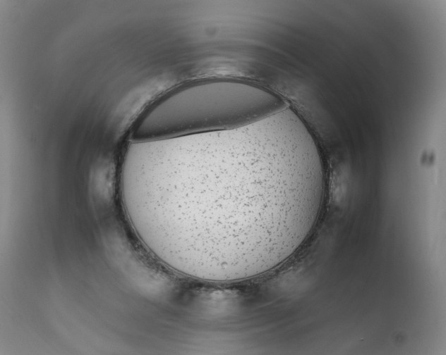 X0000112040304200908241609