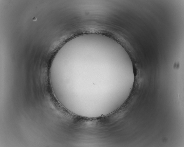 X0000112040306200908241609