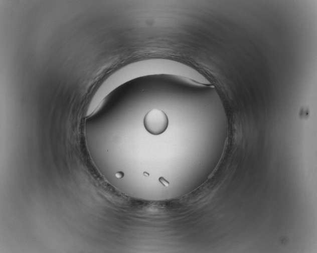 X0000112040308200908241609
