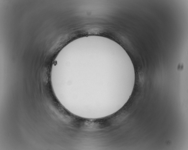 X0000112040311200908241609
