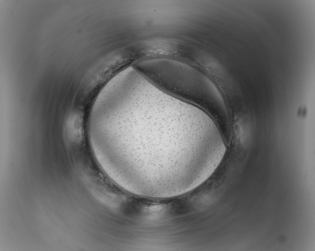 X0000112040312200908241609