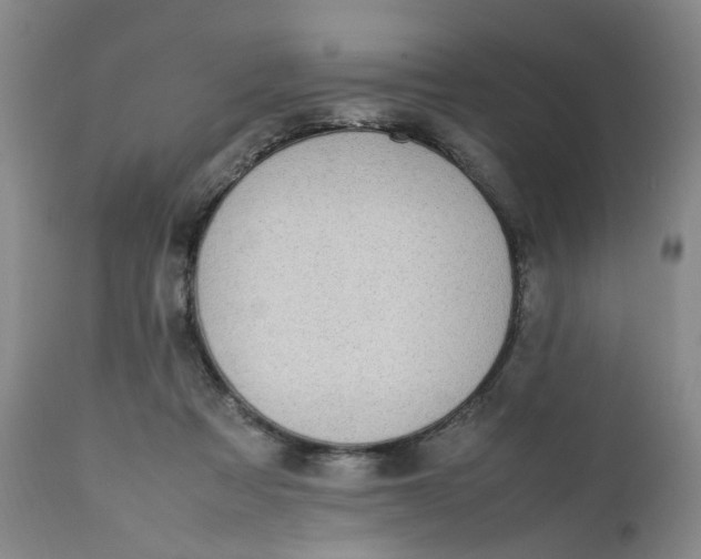 X0000112040313200908241609