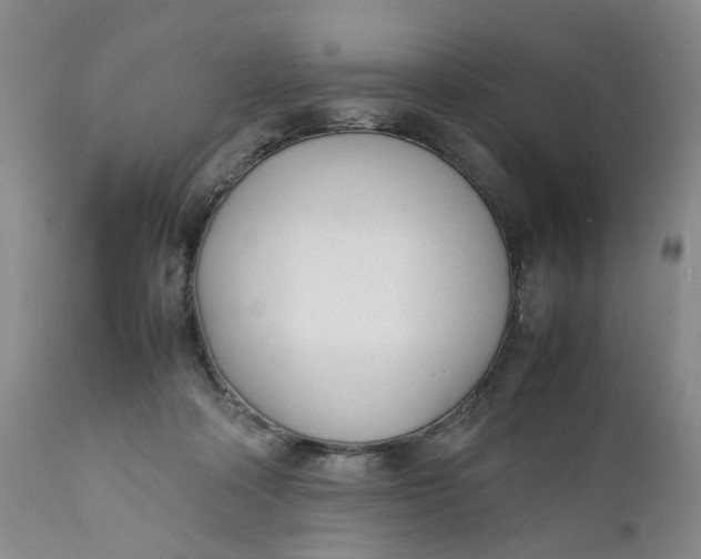 X0000112040314200908241609