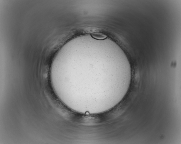X0000112040315200908241609