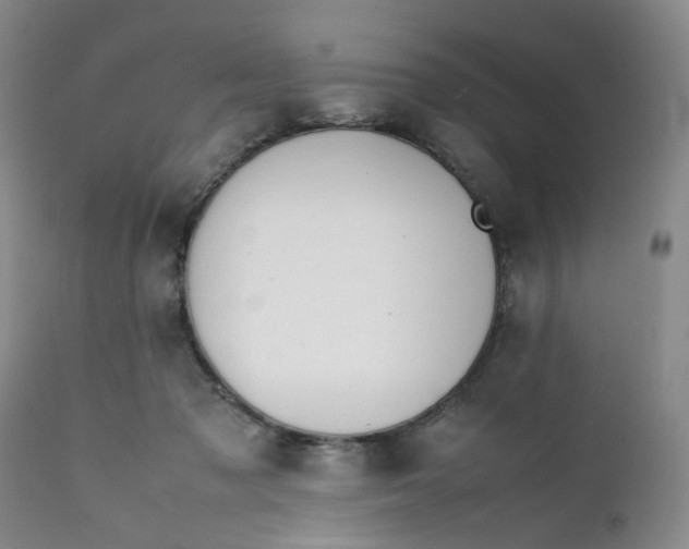 X0000112040317200908241609