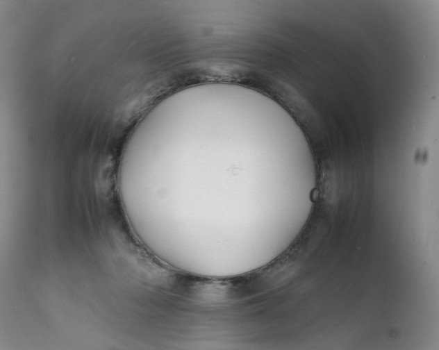 X0000112040318200908241609