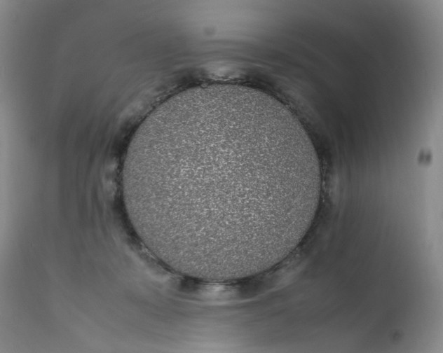 X0000112040319200908241609