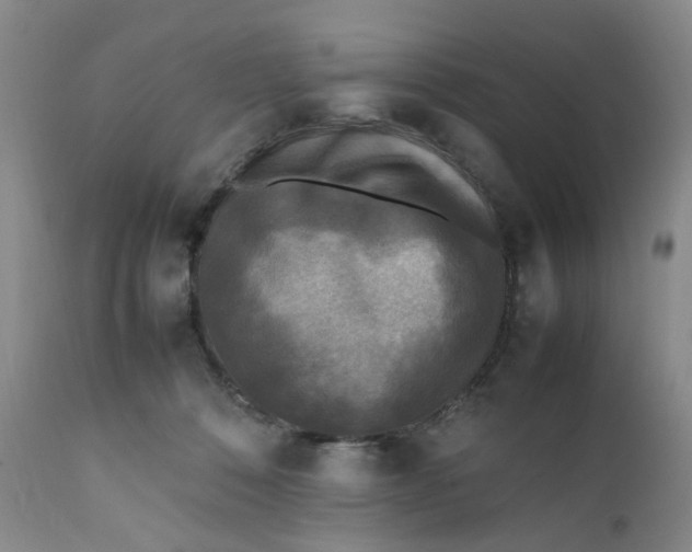 X0000112040320200908241609