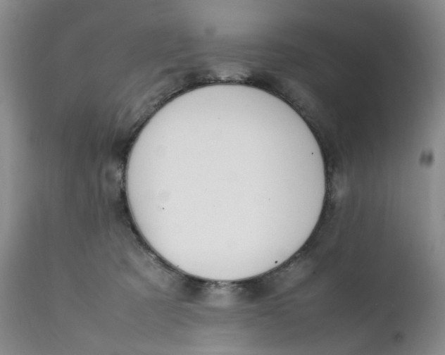 X0000112040321200908241609