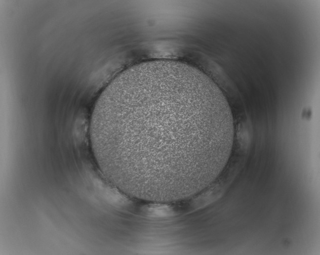 X0000112040322200908241609