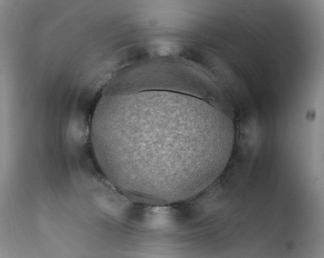 X0000112040324200908241609