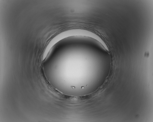 X0000112040325200908241609