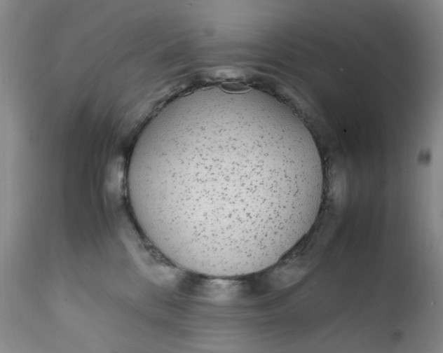 X0000112040328200908241609