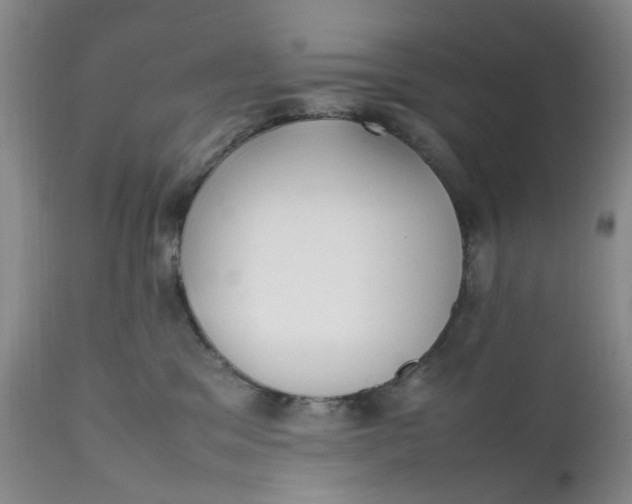X0000112040329200908241609