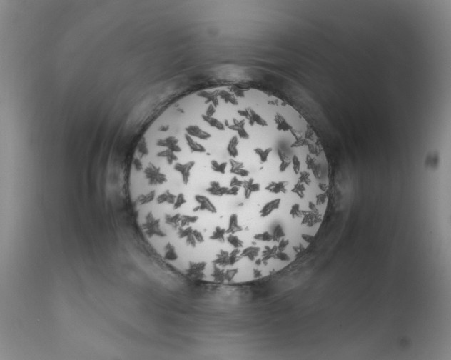 X0000112040330200908241609