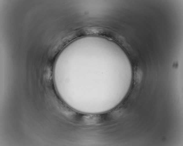 X0000112040331200908241609