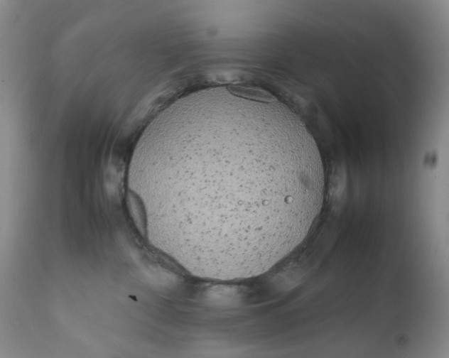 X0000112040332200908241609