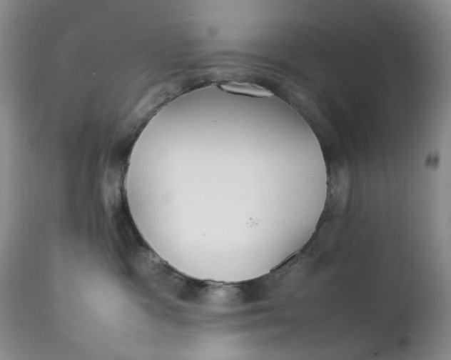 X0000112040333200908241609