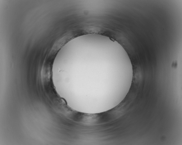 X0000112040334200908241609